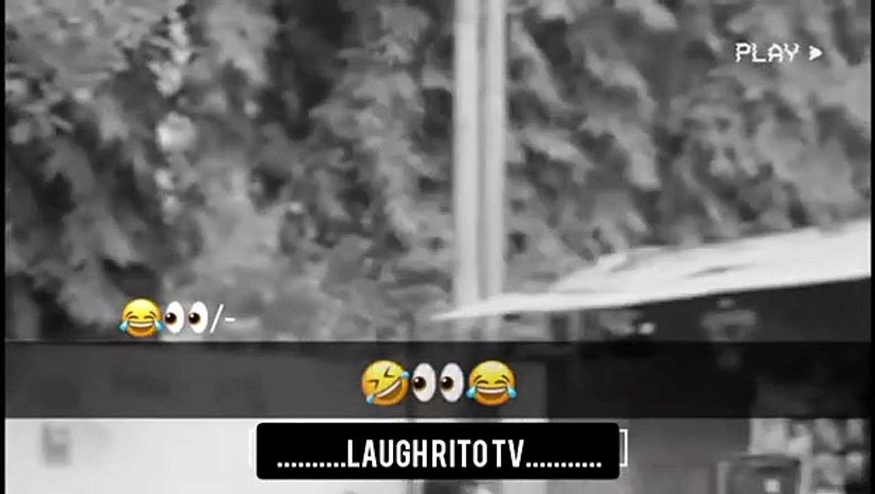 New funny video clip 2025
