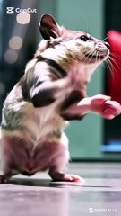 AI-Created Rat Dance Song 🎶