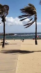 Rachas de viento que han llevado al cierre de la playa de Las Teresitas
