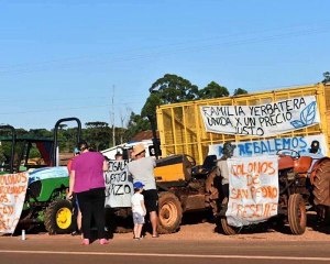 Egon Kubitz productor yerbatero de la zona centro sobre el cese de cosecha y comercialización