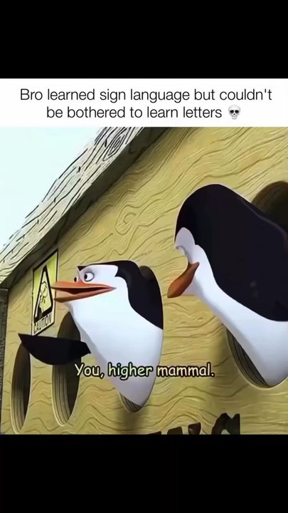 bruh