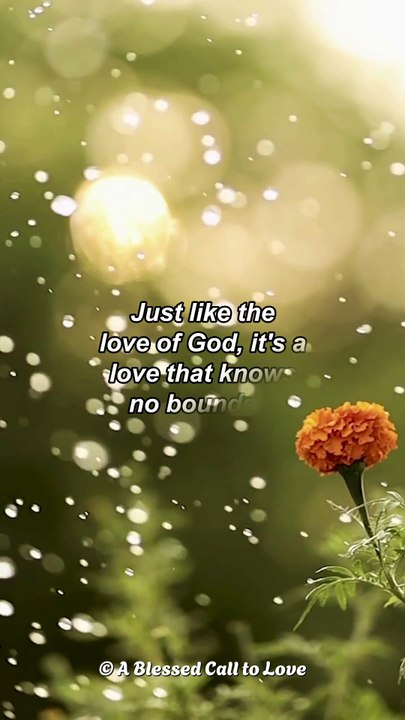 Word of God Matthew 6:33 Scripture Video