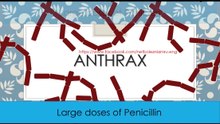 How is anthrax treated?