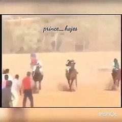 بالفيديو: مواطن ينقذ طفل من أمام حصان في سباق للخيول بالجوف