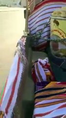 بالفيديو: عرض أكبر إناء عسل بالشرق الأوسط في مهرجان المجاردة