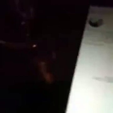 حلا الترك تفجر مفاجأة ضد والدتها وجدتها.. شاهدي رد فعل والدها؟