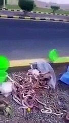 رائحة كريهة في حقيبة حاج مصري.. لن تصدقي ماذا وجدوا بها!