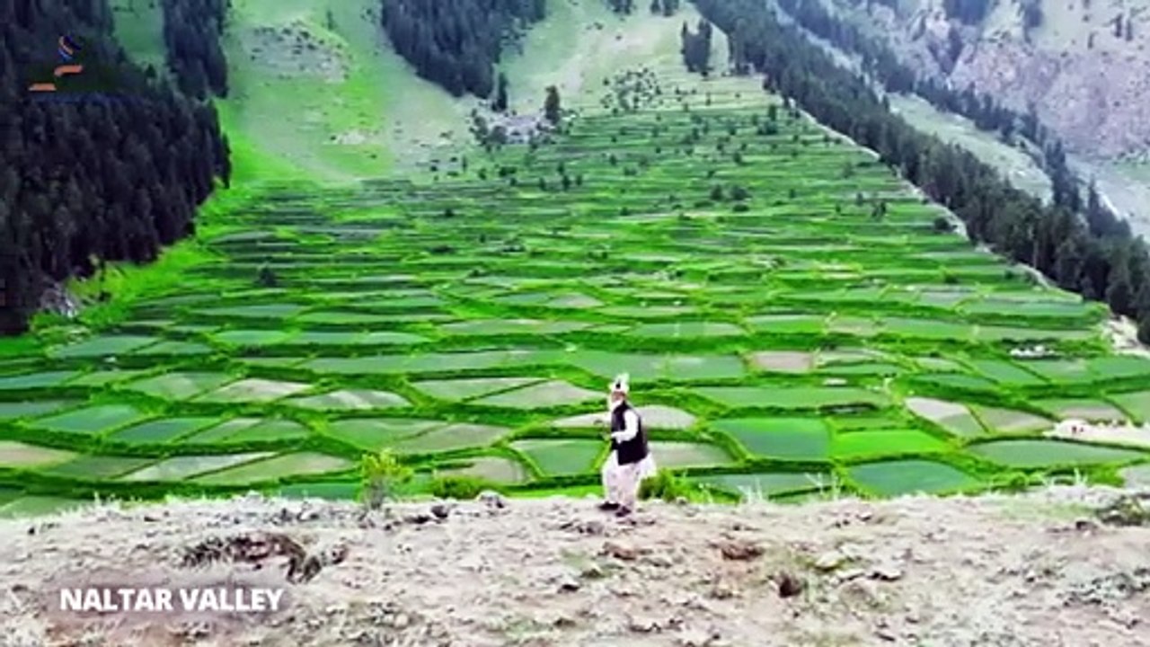 Hum Gilgit Baltistan Sa Hain #GB #Trending