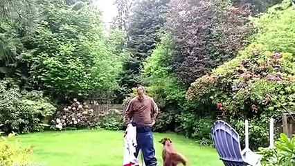 عملية إحتيال تحصد أكثر من 16 مليون مشاهدة..والسبب السينما