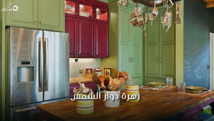 7 ألوان تتماشى مع الأحمر! إضغط لمشاهدة الفيديو