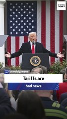 Former US official: Tariffs harm economy