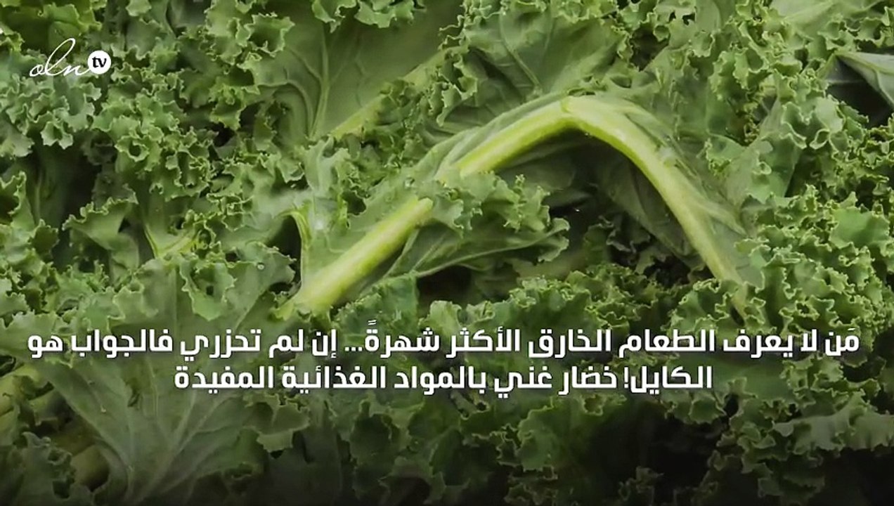 الكايل، ملك الأعشاب الخضراء!
