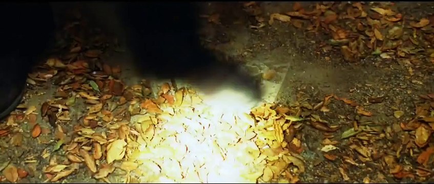 Anges et démons (2009) - Bande annonce