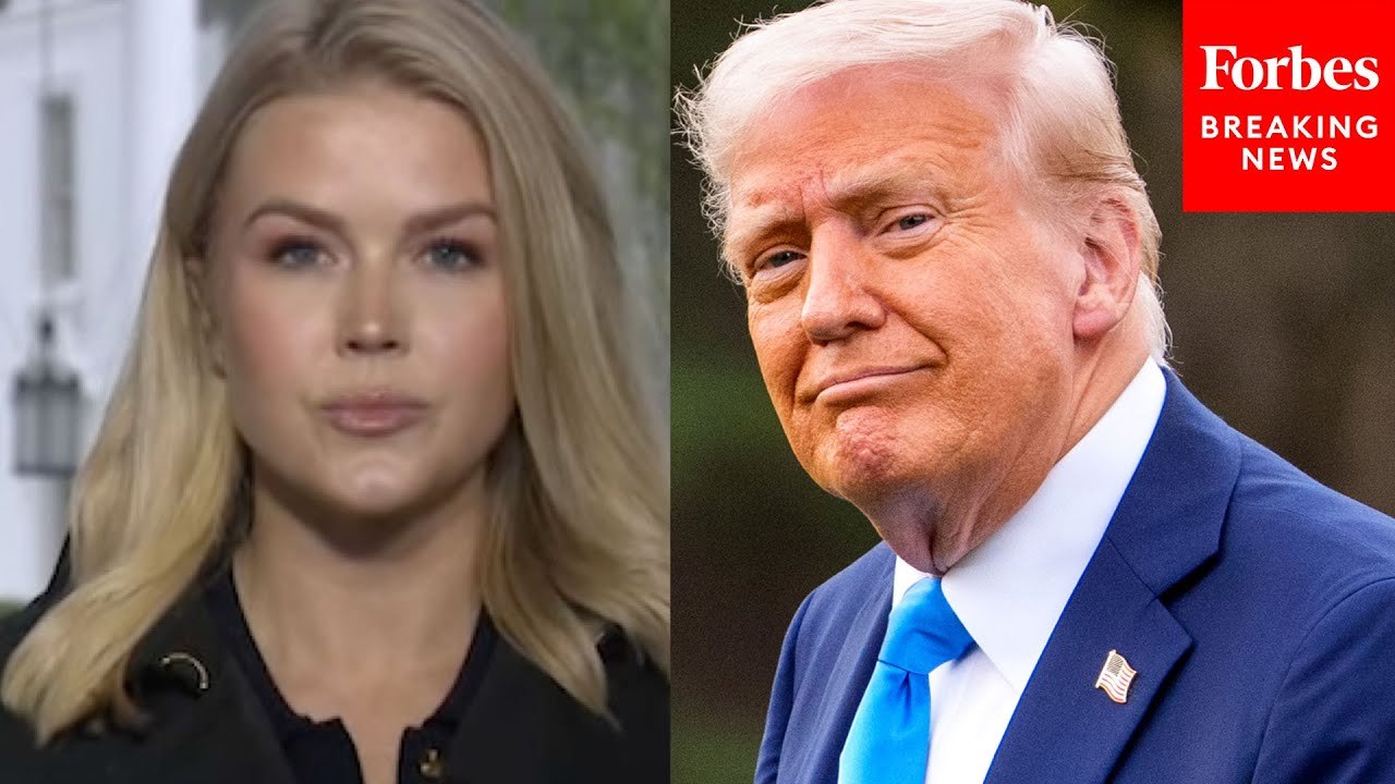 Karoline Leavitt: Trump Won't Back Down From Tariffs Even If They Violate NATO Treaty Article