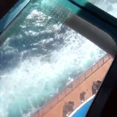 بالفيديو: أحلام تدعو معجبيها لتناول الآيس كريم