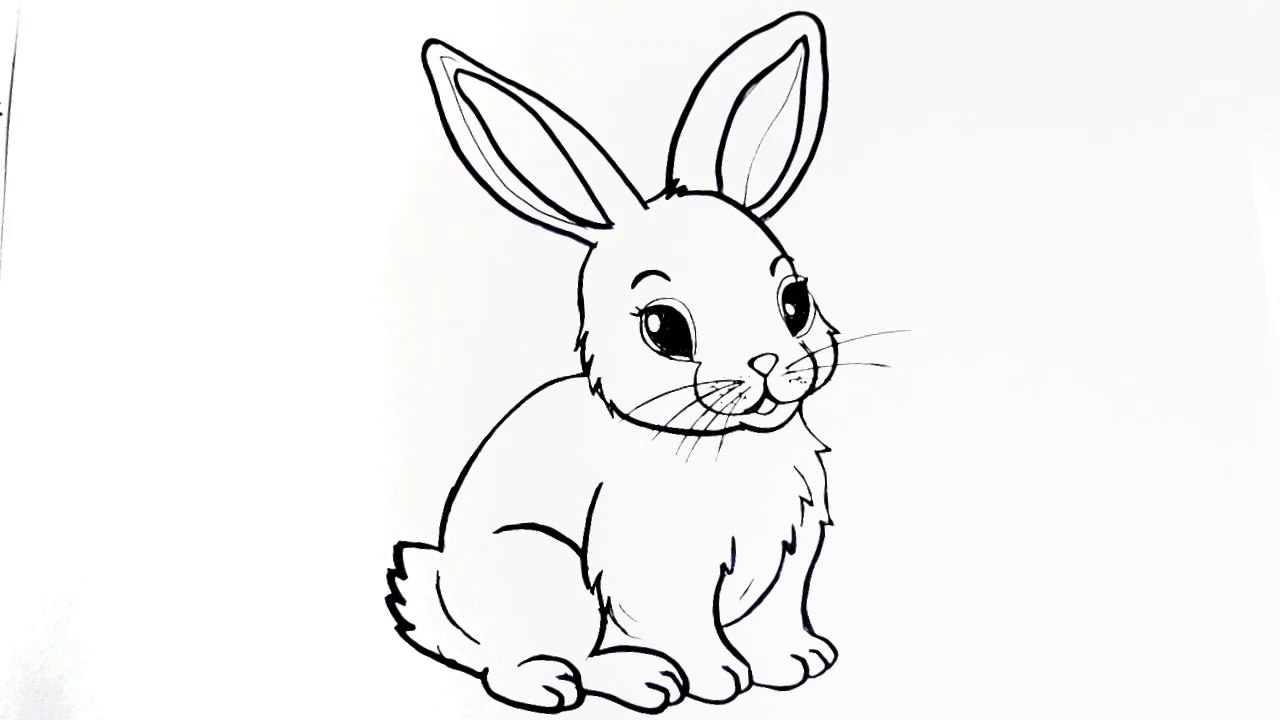 How to draw a rabbit easy __ Cute bunny rabbit drawing