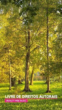 ✅💘Música relaxante- Acalmar a mente e relaxar- Fragmentos #52 #Shorts