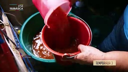 PROMO VIDAS Y BEBIDAS