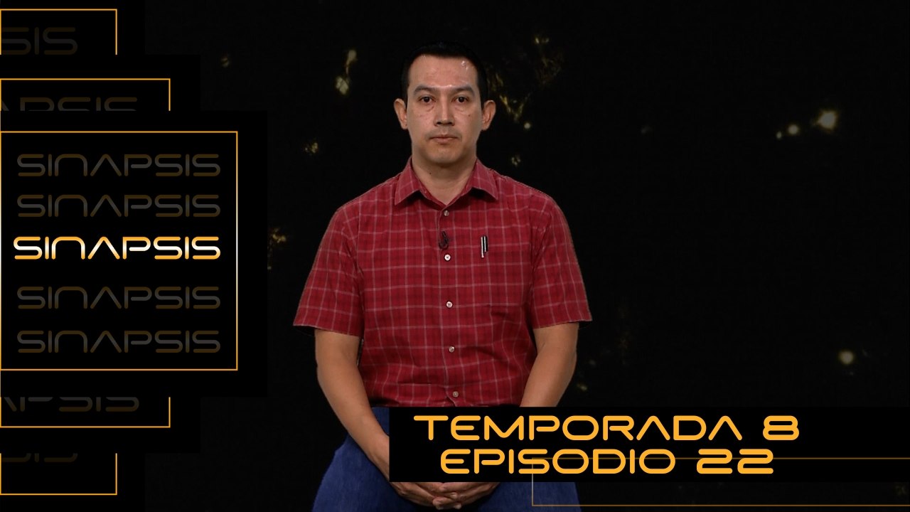 T8 Ep.22- Sinapsis | Problema de corte de patrones en una dimensión