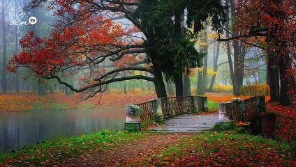 كلام جميل جدا عن الحياة