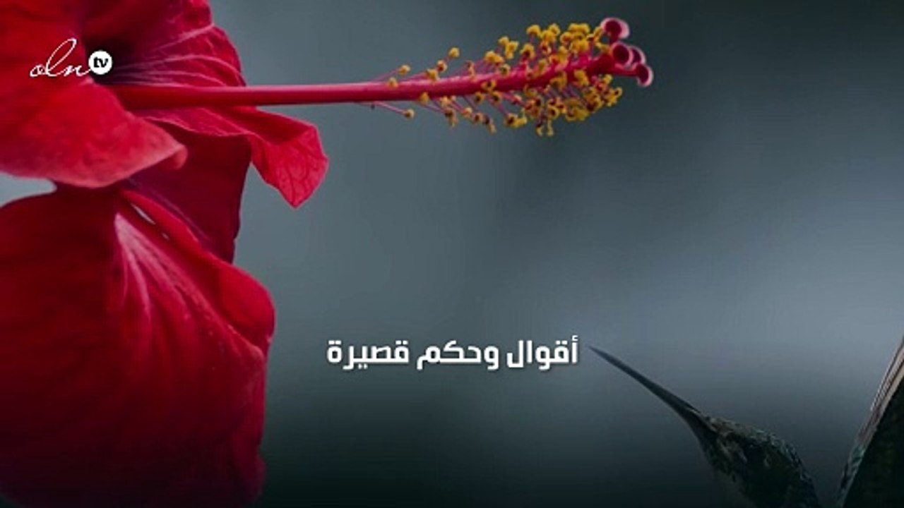 أقوال وحكم قصيرة
