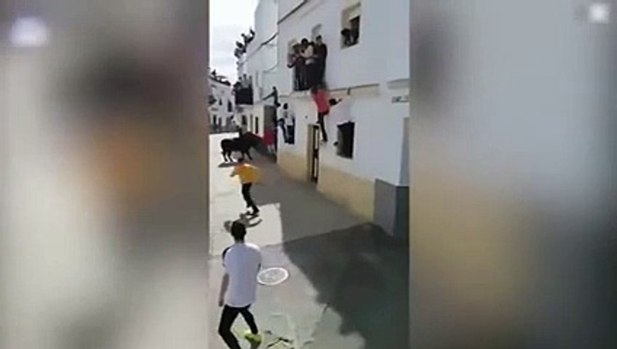 ثور هائج ينهي حياة مواطن اثناء احتفالات عيد الفصح باسبانيا