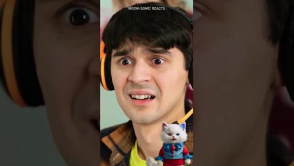 O NO SHE PUT ME ON PAUSE #cat #meow #shorts #funny #funnyanimals