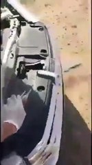 بالفيديو.. موقف إنساني لمحاولة سعودي إنقاذ جمل مكبل الأرجل مريض