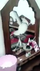 بالفيديو شاب سعودي يصور أثار تحطيمه لأثاث منزل والدته