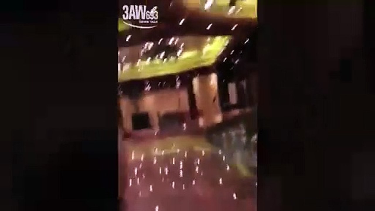 بالفيديو مشاجرة عنيفة داخل سفينة فاخرة وسط المحيط الهادي