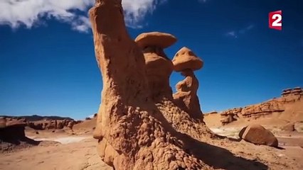 بالفيديو… نهاية مأساوية لمشهد زرافة شاردة بقوة يطاردها أسود جائعة