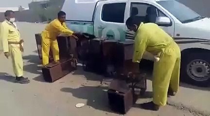 بالفيديو.. أمانة جدة توضح حقيقة تسميمها القطط.. "هذا ما نفعله"