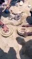 مقطع فيديو يوثّق لحظة انفجار لغم أثناء تفكيكه في أحد الجنود بالحد الجنوبي