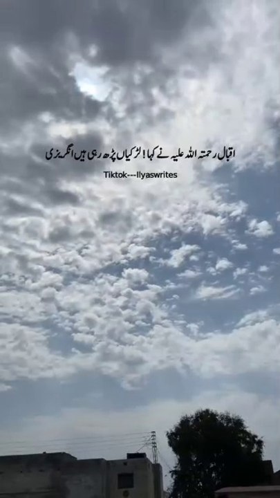 VID-20250403-WA0001