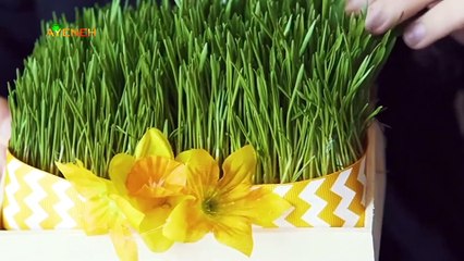 ویژه برنامه آینه – جمعه 15 فروردین 1404