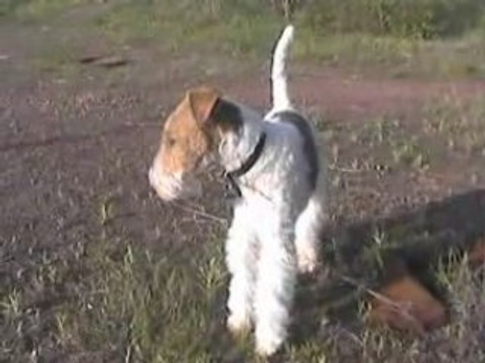 6 mai 2008 Promenade matinale