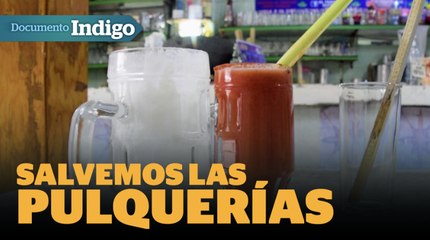 Pulquerías en resistencia: Tradición mexicana bajo amenaza | Reporte Indigo