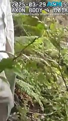 Fowl play? Man arrested for chicken-napping after alleged break-in