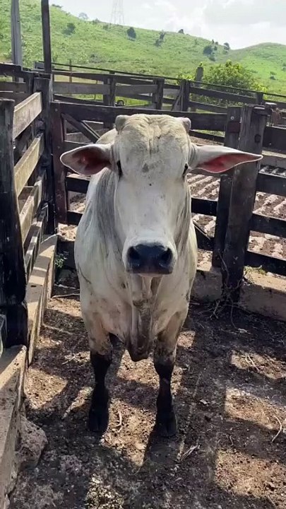 No campo, cada semente é um novo começo (15)