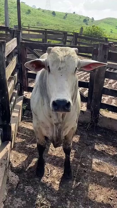 No campo, cada semente é um novo começo (18)