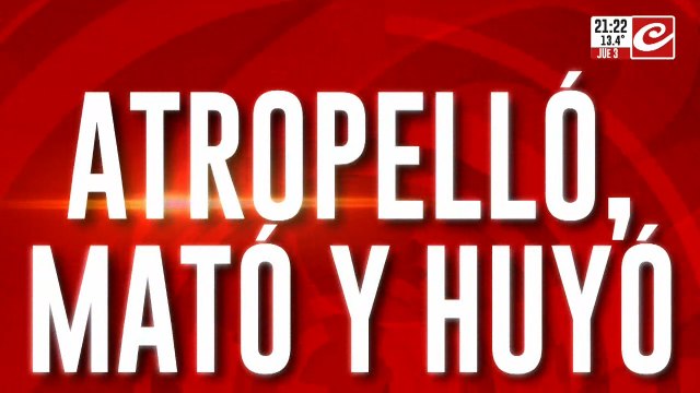 Atropelló mato y huyó 2
