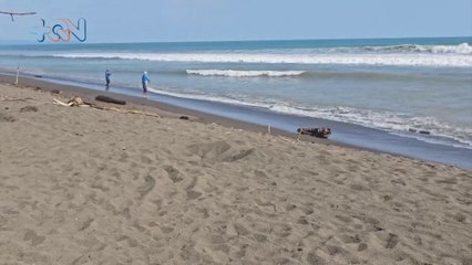 Isla Palo Seco: un paraíso para pescar, relajarse y disfrutar con la familia