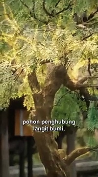 Aku hanya seorang pecundang full episode