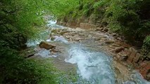 4K Relaxing Nature Sounds - Short Video Clips of Nature(720P_HD)