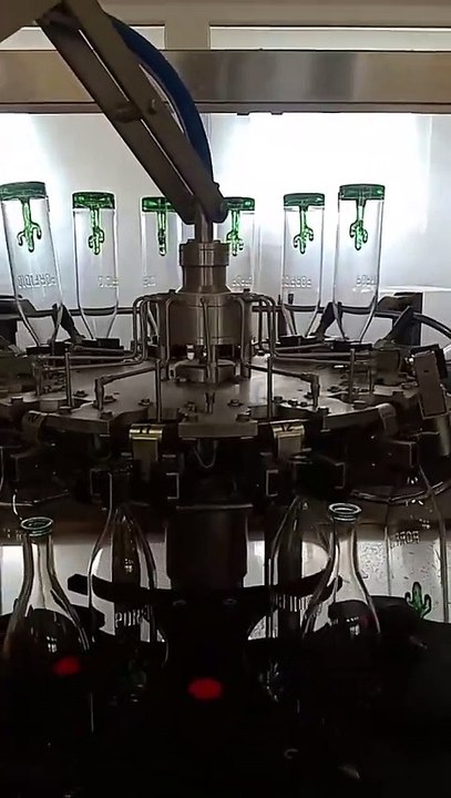 Porfidio (Bottle Cleaning)