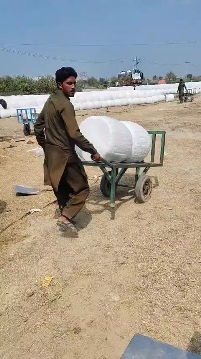 silage making process