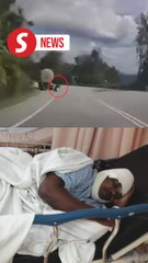 Tanker driver injured in panther attack in Jelebu