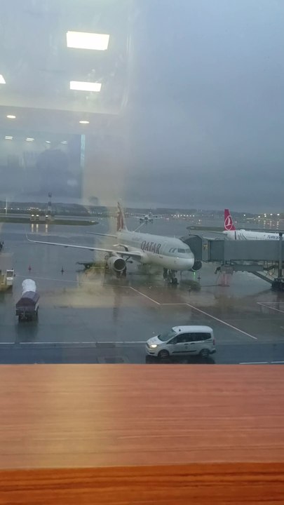 Turkish airlines flight