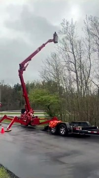 Professional Tree Care at Its Finest 🌳 | Branch Specialists Rochester NY