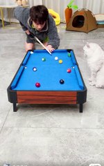 قطة مضحكة..فيديو مضحك.